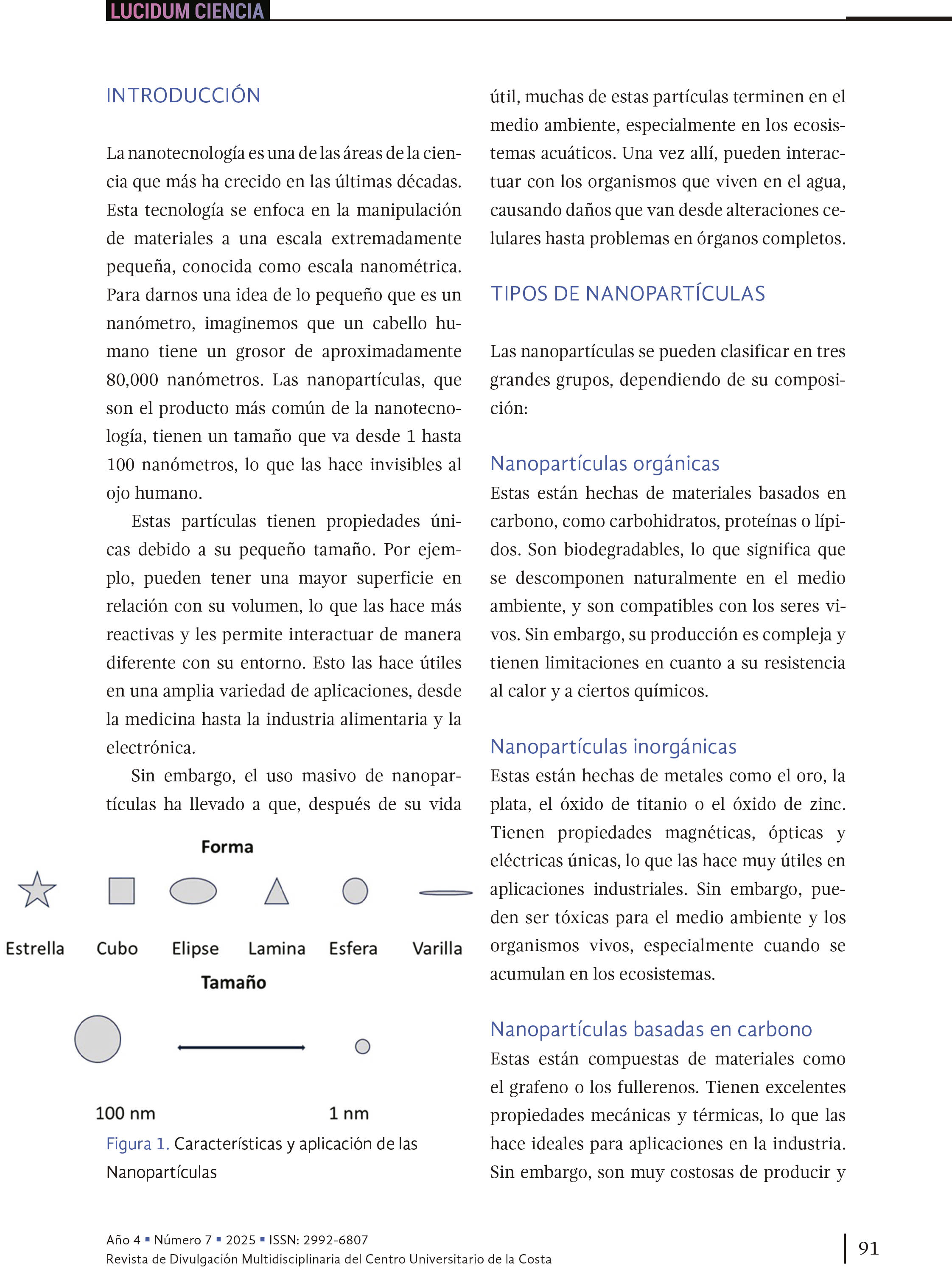 10. Nanopartículas, el enemigo invisible