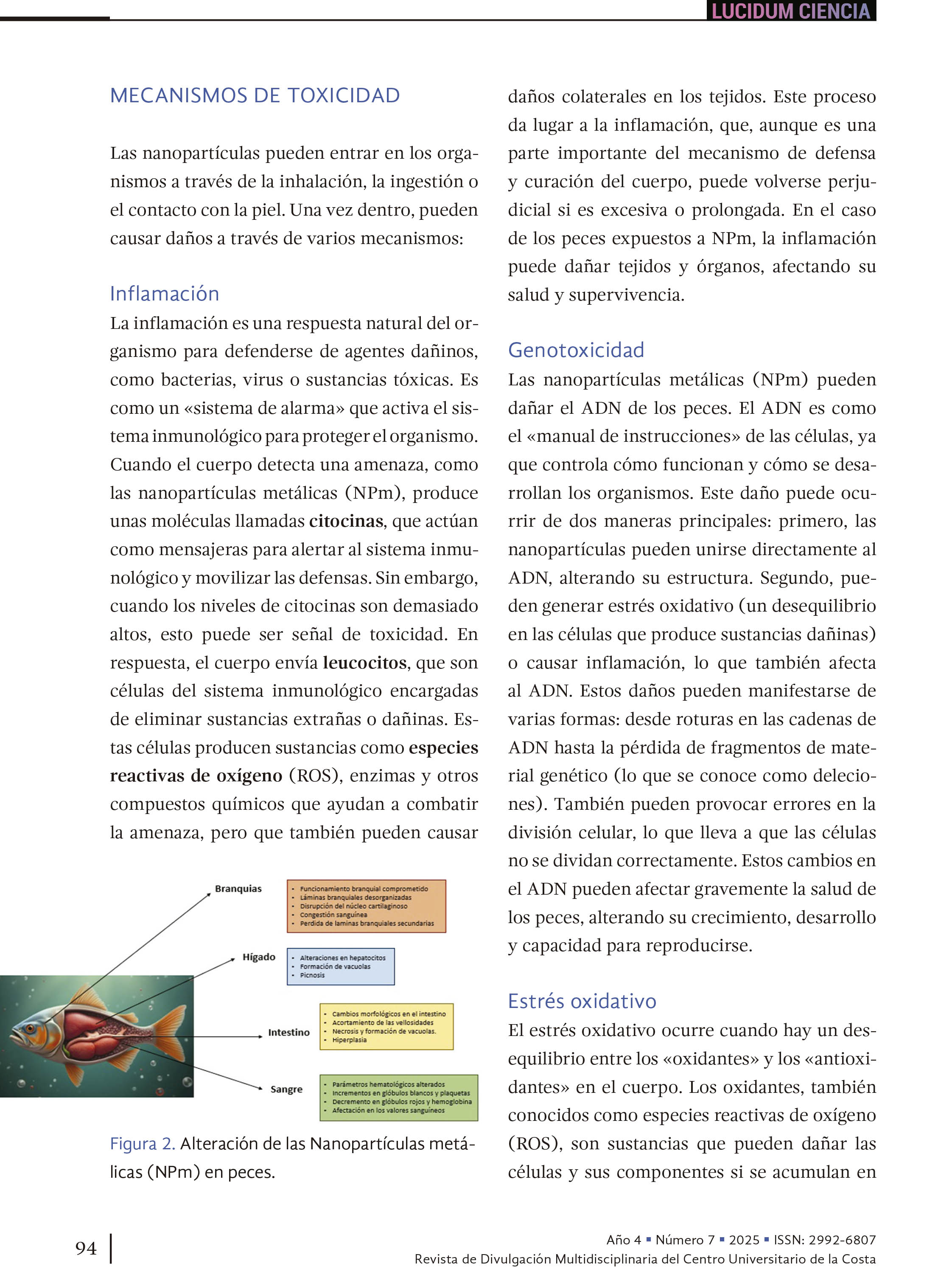 10. Nanopartículas, el enemigo invisible
