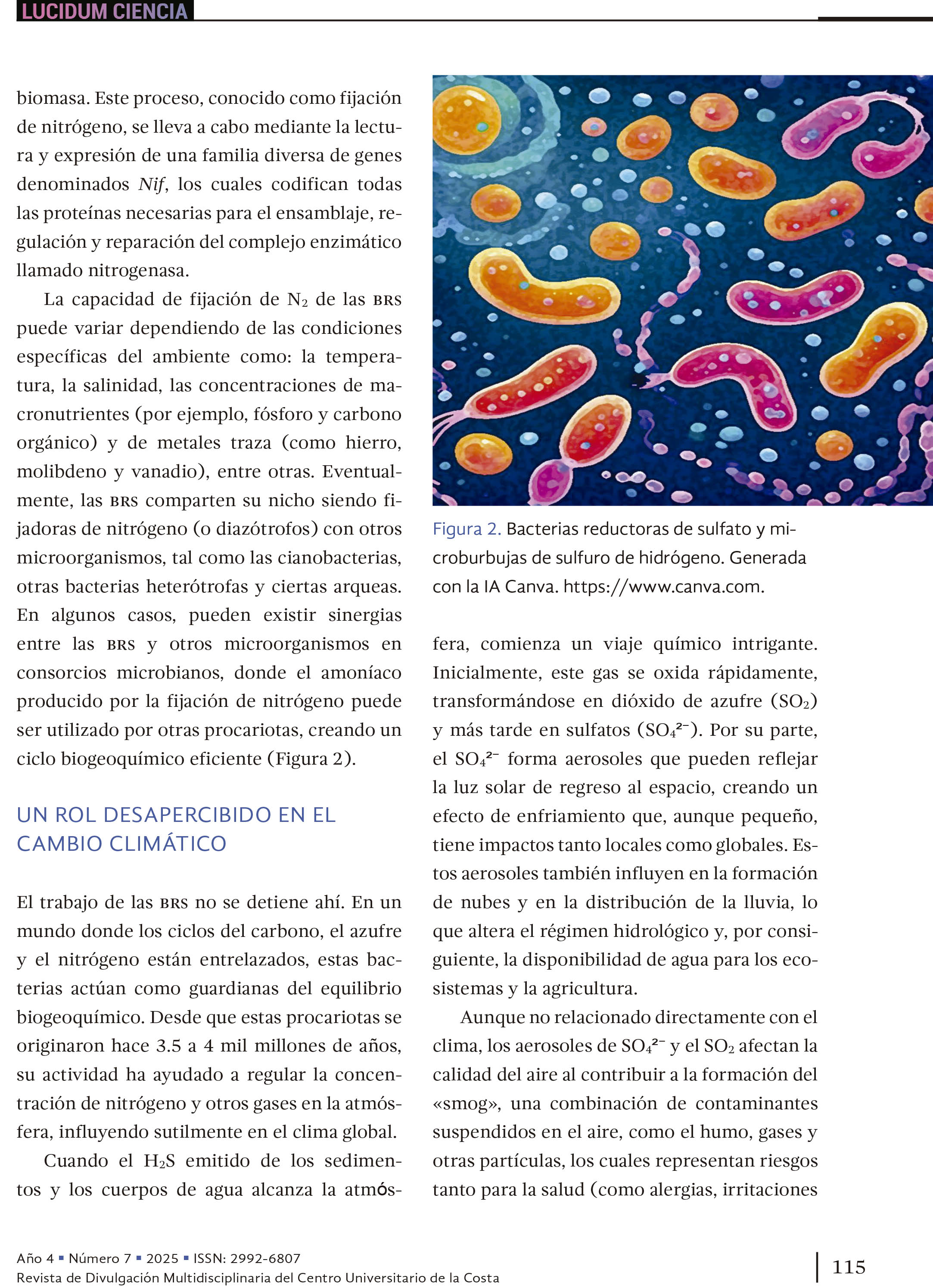 13. Las bacterias del olor a… ¡huevo podrido!