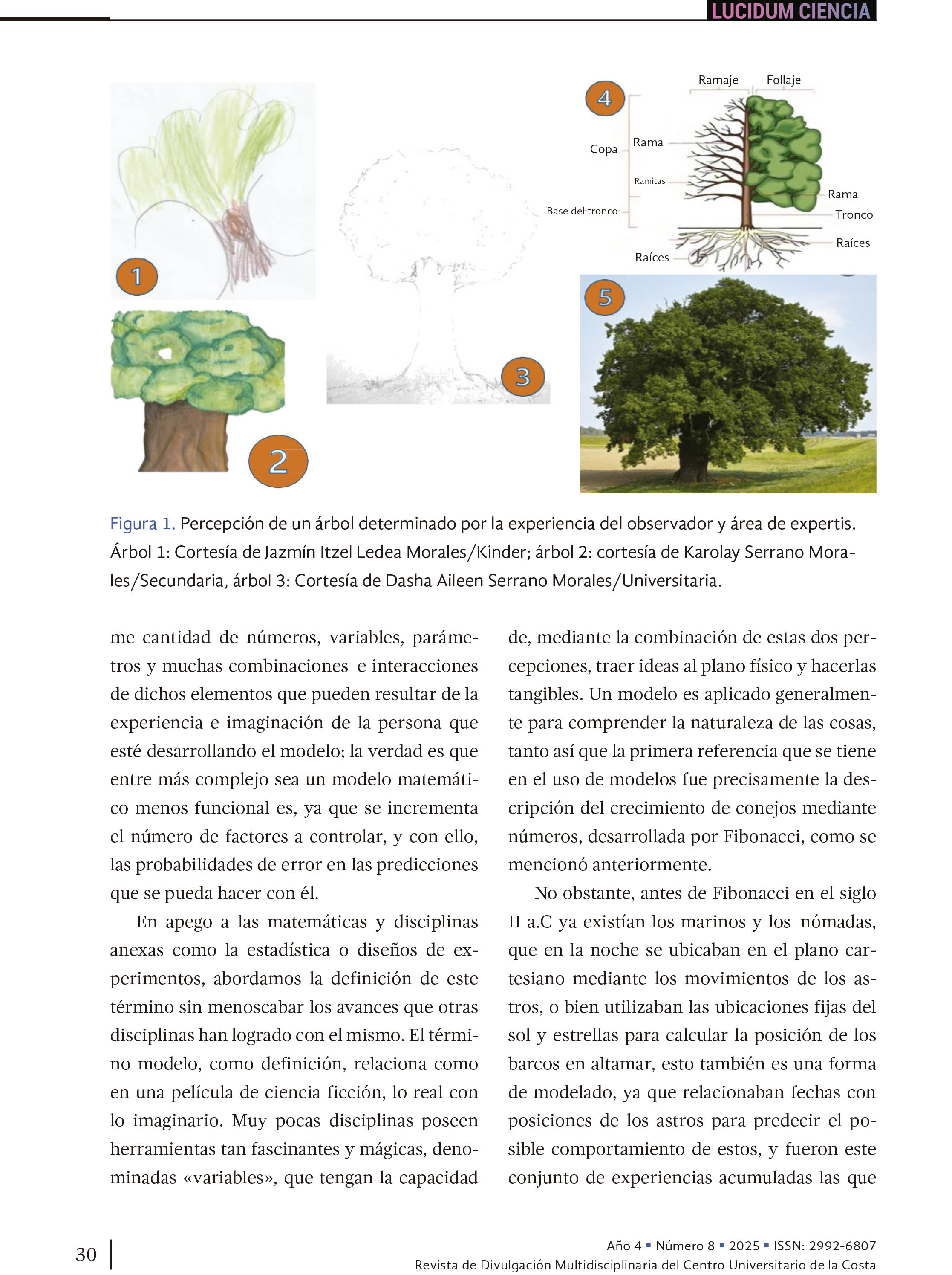 3. Modelos que no son de pasarela