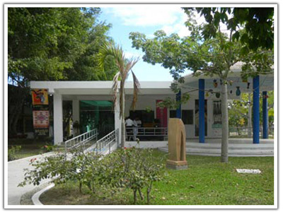 Museo de arte Peter Gray