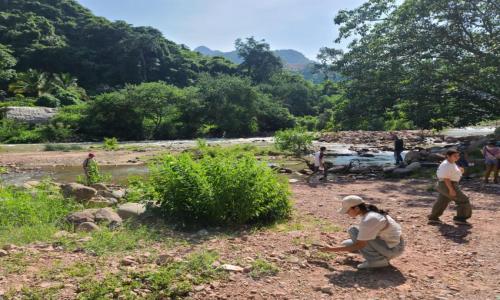 Home River BioBlitz