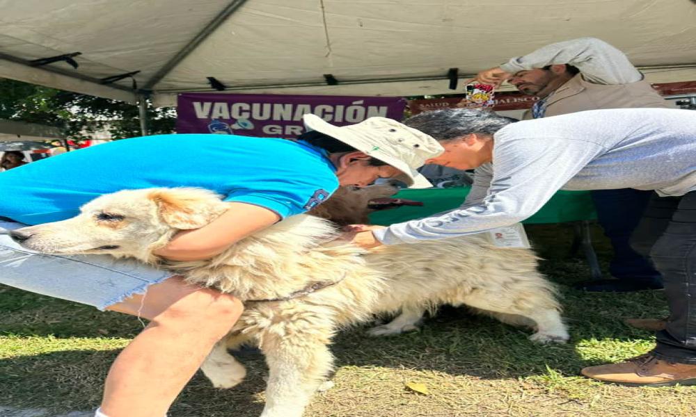 Realizaron con éxito la 4ta. Jornada de “Tejidos Comunitarios”