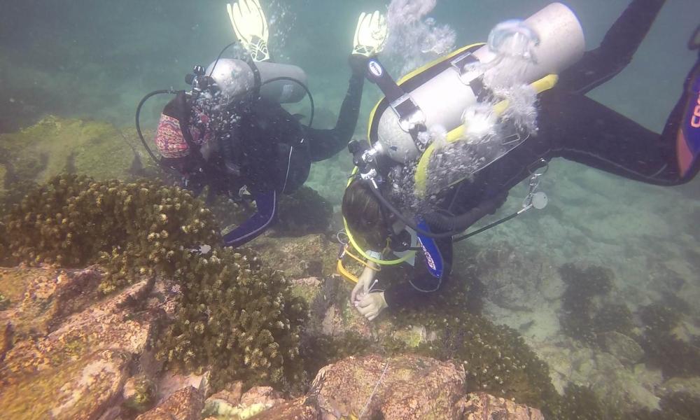 Gana CUCosta Premio Latinoamérica Verde 2021