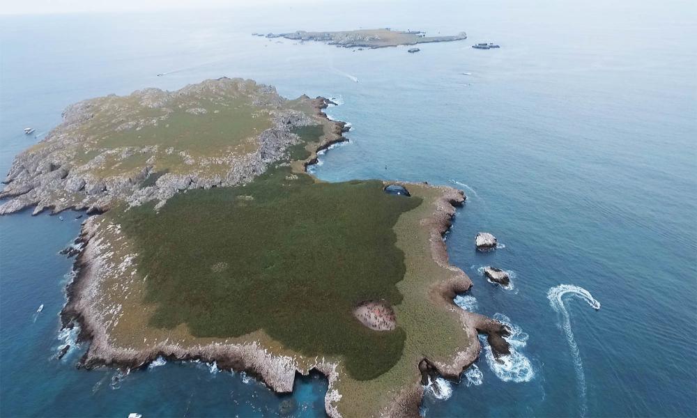 El impacto del huracán “Roslyn” causó daños en un 95 % del coral Islas Marietas