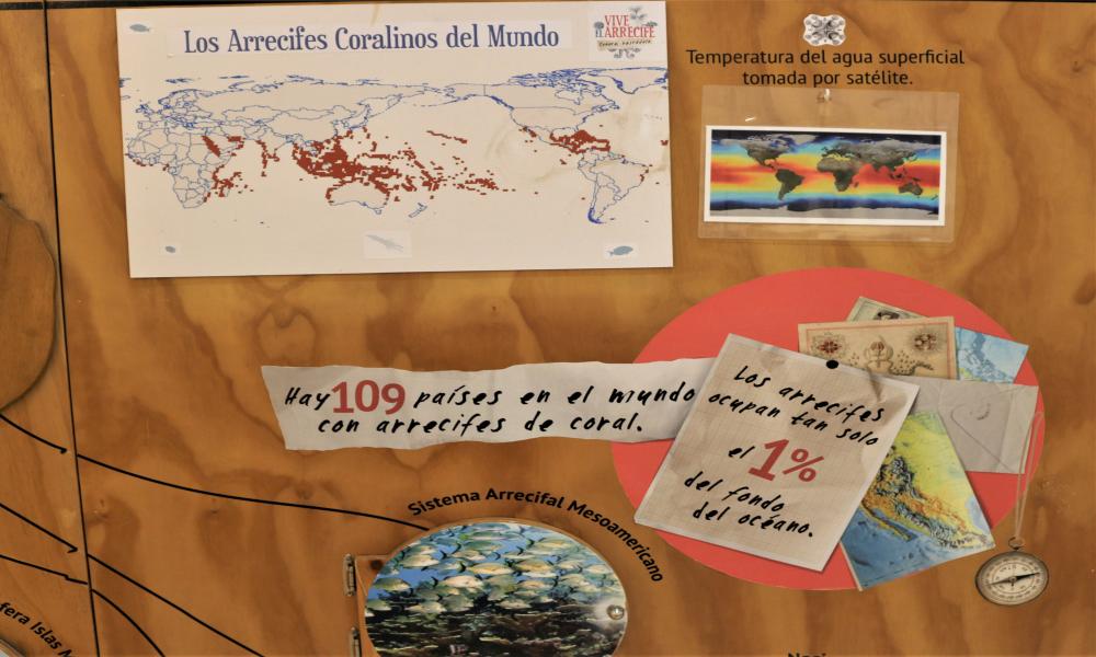 Inauguran Exposición ¡Vive el Arrecife! en CUCosta