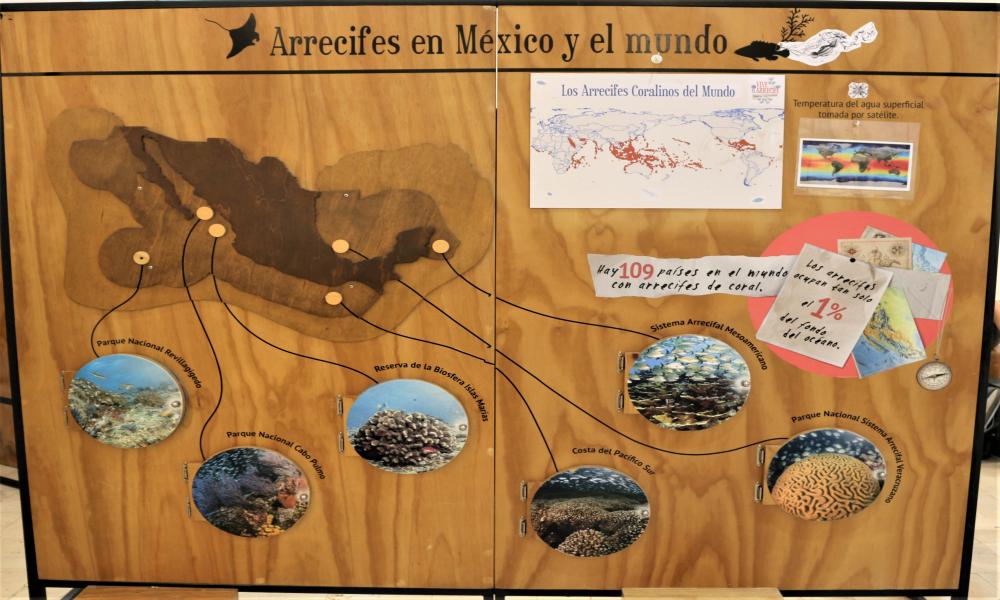 Inauguran Exposición ¡Vive el Arrecife! en CUCosta