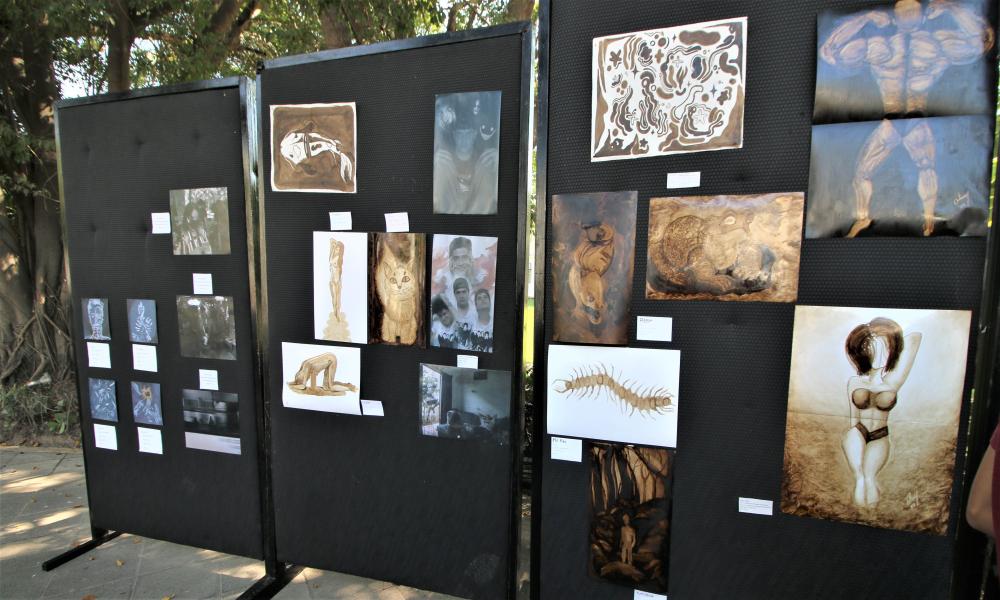 Durante la Segunda Semana de Artes exhiben más de 120 obras en CUCosta