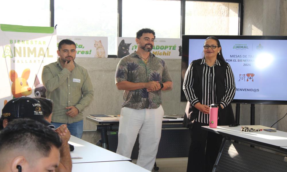 Segunda mesa de trabajo del Comité de Bienestar Animal se realizó en CUCosta
