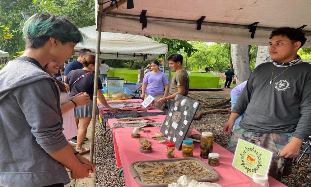 CUCosta participa en el Primer Festival del Cocodrilo en el Estero El Salado