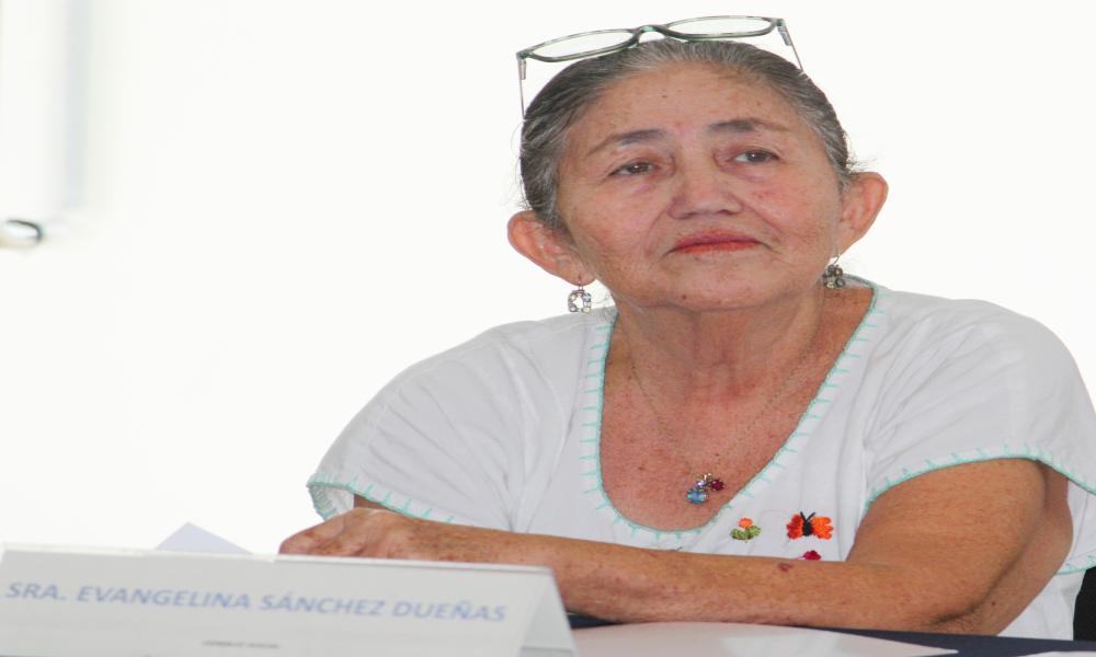 H. Consejo Social del CUCosta inicia periodo 2026-2028 con agenda enfocada en el desarrollo regional