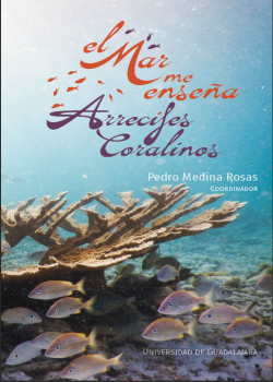 El mar me enseña Arrecifes Coralinos