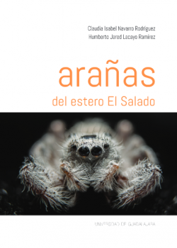 Arañas del estero El Salado