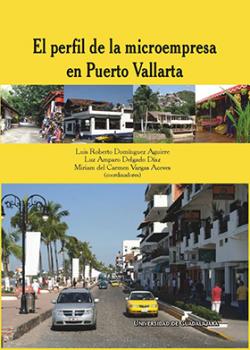El perfil de la microempresa en Puerto Vallarta