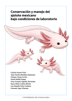 Conservación y manejo del ajolote mexicano bajo condiciones de laboratorio
