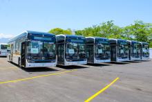 Mejora el transporte público a CUCosta con dos nuevas rutas eléctricas y transporte alimentador gratuito hasta el acceso principal 