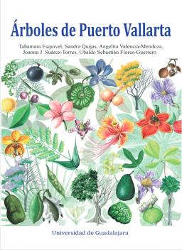 Arboles de PV
